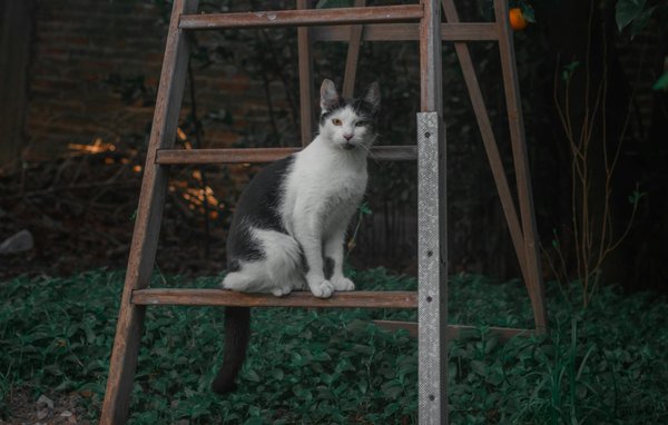 Les impacts du cbd sur votre santé : informations essentielles à connaître