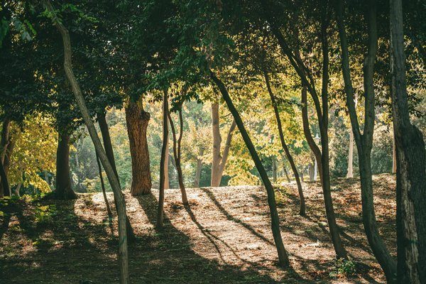Le rôle essentiel du sommeil pour un souffle sain et vigoureux